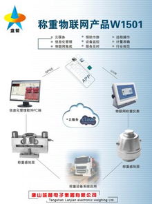 物聯(lián)網(wǎng)稱(chēng)重產(chǎn)品廠家與其應(yīng)用服務(wù)